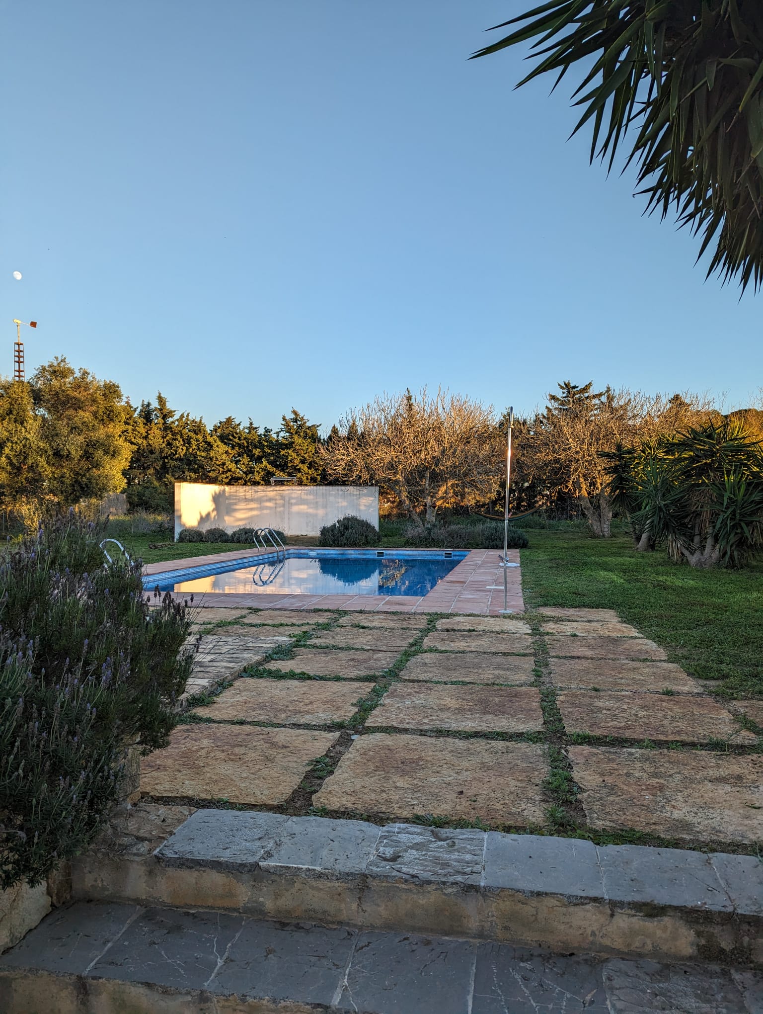 Lavender beds and stone pergola in the garden